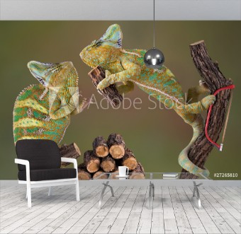 Picture of Chameleons Making Firewood